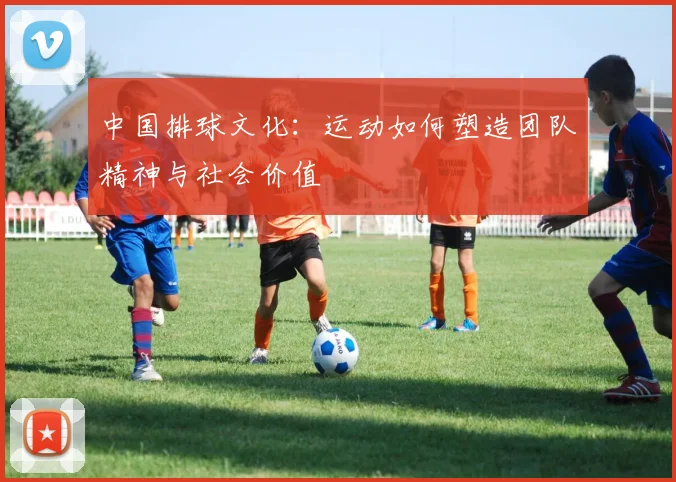 中国排球文化:运动如何塑造团队精神与社会价值