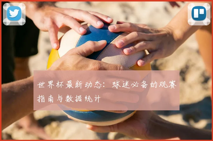 世界杯最新动态：球迷必备的观赛指南与数据统计